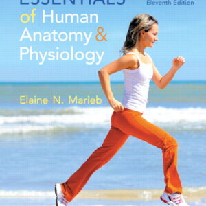 Essentials of Human Anatomy and Physiology