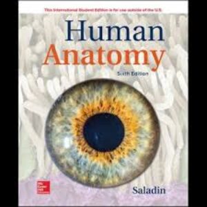 Human Anatomy