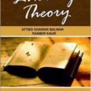 Literacy Theory