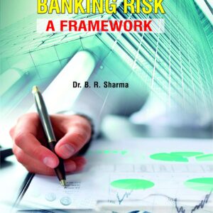 Analysing Banking Risk : A Framework