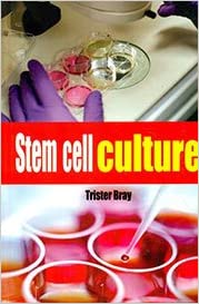 Stem Cell Culture