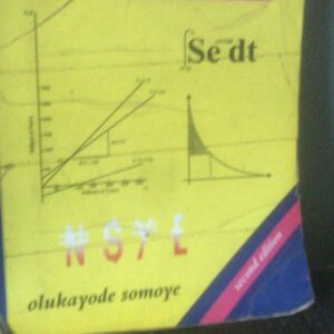 Mathematical Simulations for Economics & Finance by Olukayode Somoye