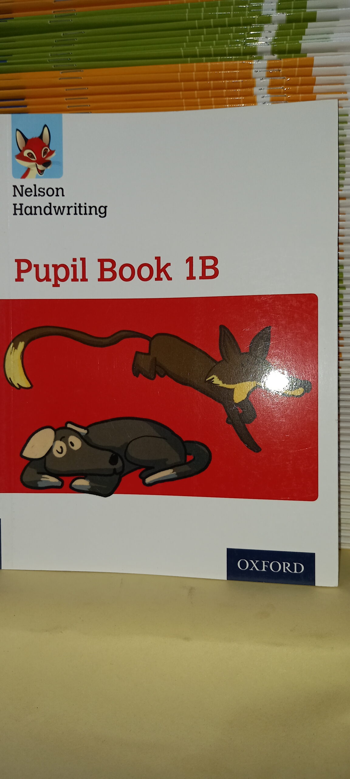 Nelson Handwriting : Pupil Book 1B by Anita Warwick