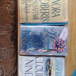 Nora Roberts Chesapeake Blue, Wrapped in Wishes by Oliga Bicos and Cloud Nine by Luanne Rice.