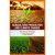 Agriculture Production and Climate Change