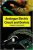 Analogue Electric Circuits And Devices