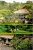Ecotourism Development and Management by Gurminder Preet Singh