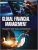 Global Financial Management