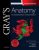 Gray’s Anatomy: The Anatomical Basis of Clinical Practice