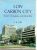 Low Carbon City Policy, Planning and Practice