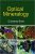 Optical Mineralogy