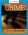 Organized Crime By Howard Abadinsky