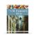 The Oil Painter’s Bible: An Essential Reference for the Practising Artist