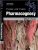 Trease and Evans’ Pharmacognosy