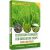Cultivation Techniques for Agriculture Crops – Cereals and Pulses