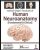Inderbir Singh’s Textbook of Human Neuroanatomy