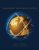Management Information Systems